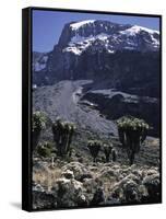 Desert Landscape with Mountain View, Kilimanjaro-Michael Brown-Framed Stretched Canvas