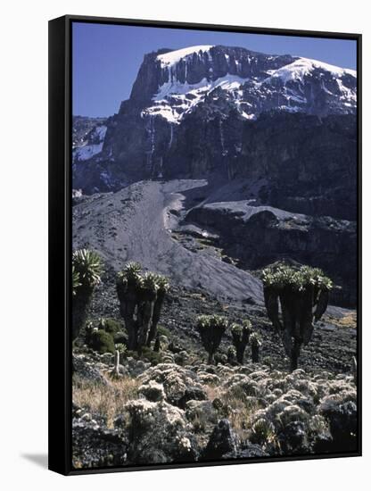 Desert Landscape with Mountain View, Kilimanjaro-Michael Brown-Framed Stretched Canvas