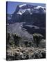 Desert Landscape with Mountain View, Kilimanjaro-Michael Brown-Stretched Canvas