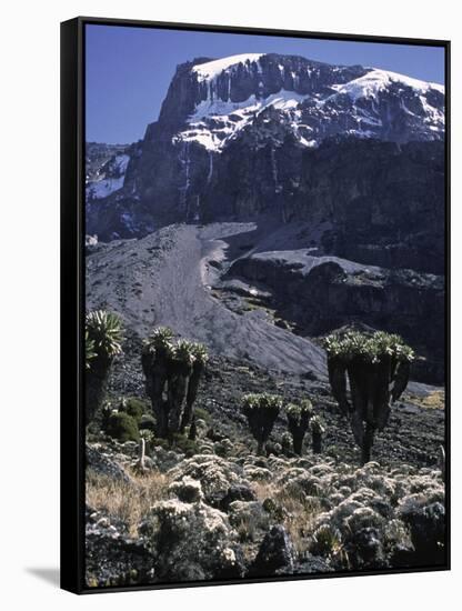 Desert Landscape with Mountain View, Kilimanjaro-Michael Brown-Framed Stretched Canvas