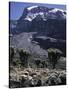 Desert Landscape with Mountain View, Kilimanjaro-Michael Brown-Stretched Canvas