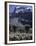 Desert Landscape with Mountain View, Kilimanjaro-Michael Brown-Framed Premium Photographic Print