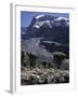 Desert Landscape with Mountain View, Kilimanjaro-Michael Brown-Framed Premium Photographic Print