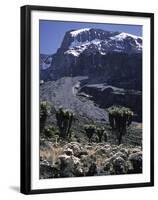 Desert Landscape with Mountain View, Kilimanjaro-Michael Brown-Framed Premium Photographic Print