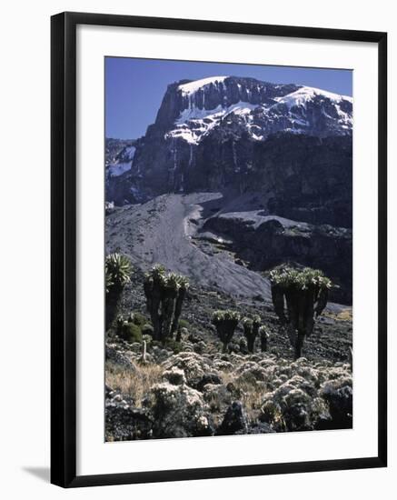 Desert Landscape with Mountain View, Kilimanjaro-Michael Brown-Framed Premium Photographic Print