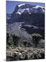 Desert Landscape with Mountain View, Kilimanjaro-Michael Brown-Mounted Premium Photographic Print