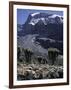 Desert Landscape with Mountain View, Kilimanjaro-Michael Brown-Framed Premium Photographic Print