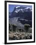 Desert Landscape with Mountain View, Kilimanjaro-Michael Brown-Framed Premium Photographic Print