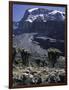 Desert Landscape with Mountain View, Kilimanjaro-Michael Brown-Framed Premium Photographic Print