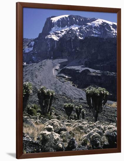 Desert Landscape with Mountain View, Kilimanjaro-Michael Brown-Framed Premium Photographic Print