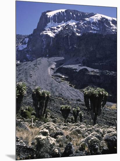 Desert Landscape with Mountain View, Kilimanjaro-Michael Brown-Mounted Premium Photographic Print