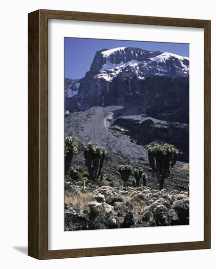 Desert Landscape with Mountain View, Kilimanjaro-Michael Brown-Framed Photographic Print