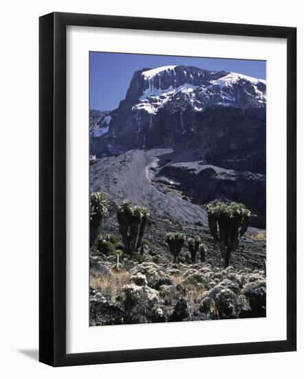 Desert Landscape with Mountain View, Kilimanjaro-Michael Brown-Framed Photographic Print