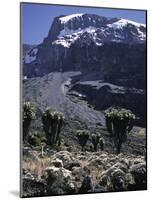 Desert Landscape with Mountain View, Kilimanjaro-Michael Brown-Mounted Photographic Print