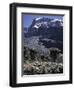 Desert Landscape with Mountain View, Kilimanjaro-Michael Brown-Framed Photographic Print