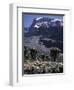 Desert Landscape with Mountain View, Kilimanjaro-Michael Brown-Framed Photographic Print