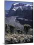 Desert Landscape with Mountain View, Kilimanjaro-Michael Brown-Mounted Photographic Print