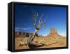 Desert Landscape with Rock Formations and Cliffs in the Background, Monument Valley, Arizona, USA-null-Framed Stretched Canvas