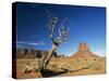 Desert Landscape with Rock Formations and Cliffs in the Background, Monument Valley, Arizona, USA-null-Stretched Canvas