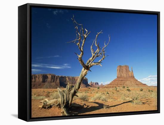 Desert Landscape with Rock Formations and Cliffs in the Background, Monument Valley, Arizona, USA-null-Framed Stretched Canvas