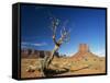 Desert Landscape with Rock Formations and Cliffs in the Background, Monument Valley, Arizona, USA-null-Framed Stretched Canvas