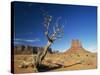 Desert Landscape with Rock Formations and Cliffs in the Background, Monument Valley, Arizona, USA-null-Stretched Canvas