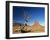 Desert Landscape with Rock Formations and Cliffs in the Background, Monument Valley, Arizona, USA-null-Framed Photographic Print