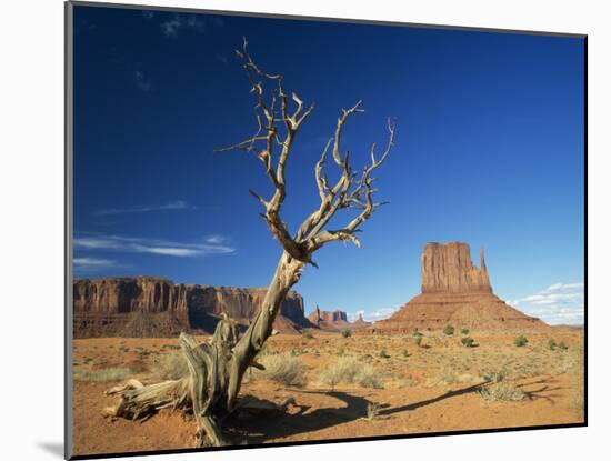 Desert Landscape with Rock Formations and Cliffs in the Background, Monument Valley, Arizona, USA-null-Mounted Photographic Print