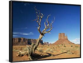 Desert Landscape with Rock Formations and Cliffs in the Background, Monument Valley, Arizona, USA-null-Framed Photographic Print