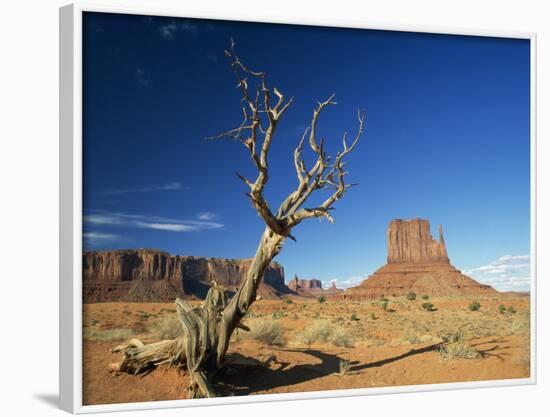 Desert Landscape with Rock Formations and Cliffs in the Background, Monument Valley, Arizona, USA-null-Framed Photographic Print