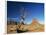 Desert Landscape with Rock Formations and Cliffs in the Background, Monument Valley, Arizona, USA-null-Framed Photographic Print