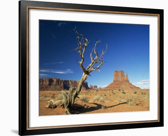 Desert Landscape with Rock Formations and Cliffs in the Background, Monument Valley, Arizona, USA-null-Framed Photographic Print