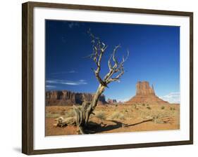 Desert Landscape with Rock Formations and Cliffs in the Background, Monument Valley, Arizona, USA-null-Framed Photographic Print