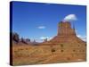 Desert Landscape with Rock Formations in Monument Valley, Arizona, USA-null-Stretched Canvas