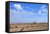 Desert Landscape-Olexandr-Framed Stretched Canvas