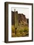 Desert Landscape-cec72-Framed Photographic Print