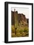 Desert Landscape-cec72-Framed Photographic Print