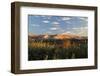 Desert Landscape-Wilsilver-Framed Photographic Print