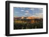 Desert Landscape-Wilsilver-Framed Photographic Print