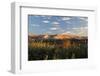 Desert Landscape-Wilsilver-Framed Photographic Print