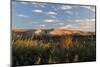 Desert Landscape-Wilsilver-Mounted Photographic Print