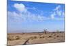 Desert Landscape-Olexandr-Mounted Photographic Print