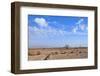 Desert Landscape-Olexandr-Framed Photographic Print