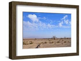 Desert Landscape-Olexandr-Framed Photographic Print