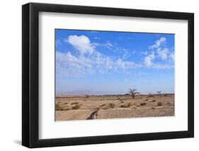 Desert Landscape-Olexandr-Framed Photographic Print