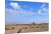 Desert Landscape-Olexandr-Mounted Photographic Print