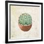 Desert Life 1-Kimberly Allen-Framed Art Print