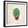 Desert Life 2-Kimberly Allen-Framed Art Print