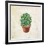 Desert Life 2-Kimberly Allen-Framed Art Print