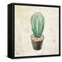 Desert Life 3-Kimberly Allen-Framed Stretched Canvas